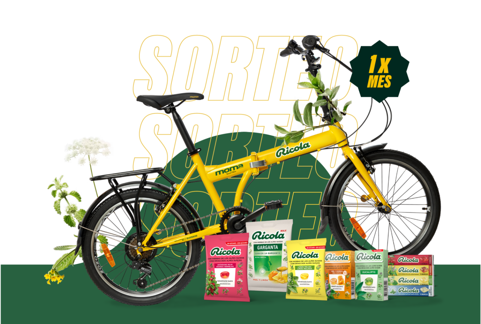 Cabecera